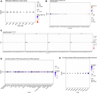 Pan-cancer analyses reveal IGSF10 as an immunological and prognostic biomarker